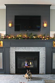 a dog is sitting in front of a fireplace