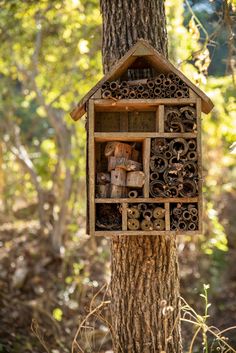 a bird house built into the side of a tree