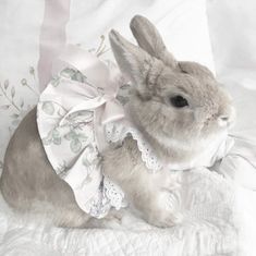 a small rabbit wearing a white dress on top of a bed