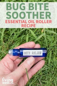 Insect Bites Relief, Stop Mosquito Bite Itch, Mosquito Bite Itch Relief, Essential Oils Bug Bites, Essential Oils For Mosquitoes, Anti Itch Remedy, Homemade Lifestyle, Mosquito Bite Relief, Medicinal Recipes