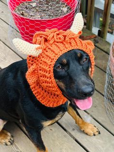 a dog wearing a knitted hat with horns on it's head sitting on a wooden deck