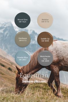 a horse grazing on grass with mountains in the background and text that reads equestrian sherylin - williams