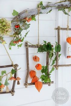 an assortment of plants hanging from branches on a white wall next to a wooden frame