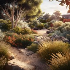 an artist's rendering of a garden with rocks and plants