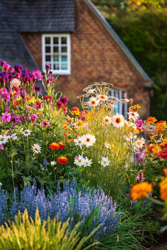 a garden with many different types of flowers in front of a brick building and windows