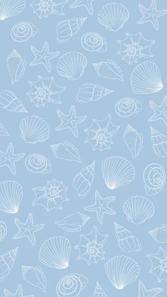 a blue background with shells and starfish on it