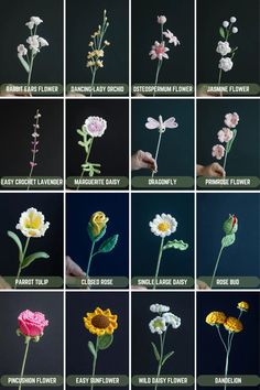 the different types of flowers are shown in this photo, and each flower has its own name