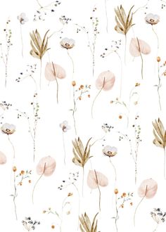 watercolor flowers and plants on a white background