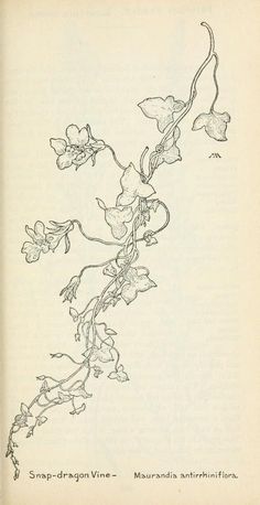 an old book with flowers and vines on the page, which is written in black ink