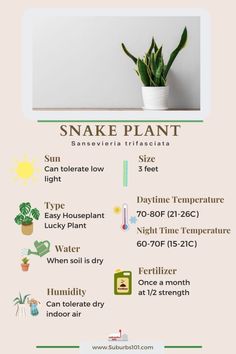 a poster with some plants and other things to do in the houseplant garden