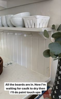 a shelf filled with white dishes on top of a kitchen counter next to a potted plant