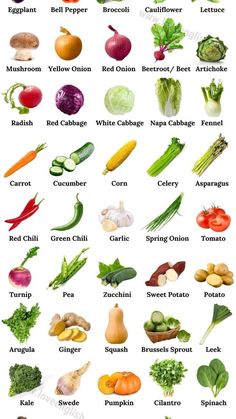 the different types of vegetables are shown in this chart, which includes carrots, broccoli, radishes, and more