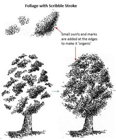 Draw Tree, Ink Drawing Techniques, Drawing Tree, Drawing Trees, Ink Pen Art, Pen And Ink Drawings, Tree Sketches, Pen Drawings, Ink Artwork