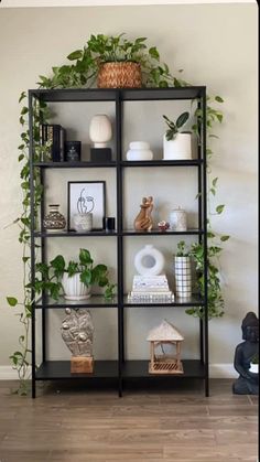 a book shelf with plants and pictures on it