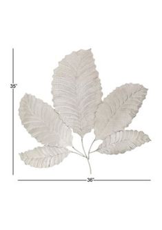 a white leaf is shown with measurements for the size and shape, as well as how to