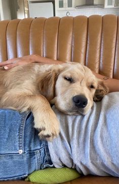 a man laying on top of a couch next to a brown dog with it's eyes closed