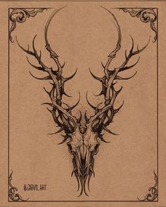 an ink drawing of a deer skull with horns