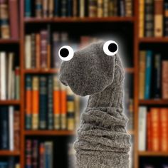 a stuffed animal in front of bookshelves with eyes