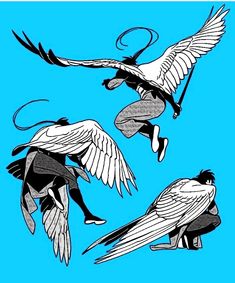 three white birds flying in the sky with their wings spread out and one is holding a stick