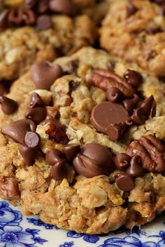 cookies with chocolate chips and pecans on a blue and white plate, ready to be eaten