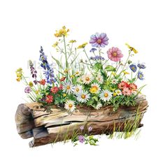 watercolor painting of wildflowers and grasses in a log