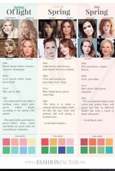 Spring Undertone Color Palettes, Best Hair Colors For Light Spring, Spring Complexion Color Palettes, Light Spring Vs Warm Spring, Spring Colour Palette Skin Tone, Seasonal Color Analysis Spring, Bright Classic Outfits, Spring Wardrobe Color Palette, Spring Palette Hair Color