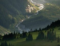 the valley is surrounded by tall trees and green grass, with a river running through it