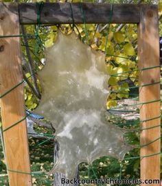 a broken glass window in the middle of a wooden frame with vines growing around it