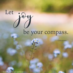 the words let joy be your compass are shown in front of some blue and white flowers