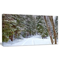 a snowy road surrounded by trees and snow covered ground with lots of snow on the ground