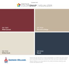 the color scheme for colorsnap visualizer is shown in red, white and blue