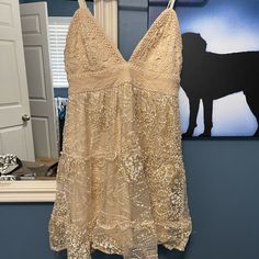 Beautiful Nwot Southern Fried Chics Dress Perfect For A Bride Or Engagement Pictures. Bachelorette Party? Spring Gold Mini Dress For Wedding, Gold Mini Dress For Spring Wedding, Summer Wedding Dress With Shimmer Details, Summer Wedding Dress With Shimmer, Champagne Lace Party Dress, Glamorous Lace Sequin Dress For Summer, Summer Festive Lace Dresses, Festive Sleeveless Lace Dress, Champagne Sleeveless Sequin Dress For Spring