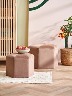 two small stools sitting next to each other on top of a wooden floor in front of a plant