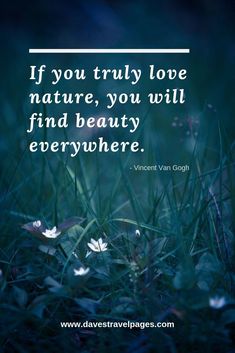 the quote if you truly love nature, you will find beauty everywhere