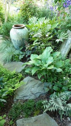 a garden filled with lots of plants and rocks