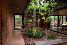 the inside of a house with trees and plants on the outside wall, surrounded by brick walkways