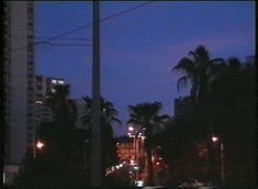 the city street is lit up at night with palm trees and buildings in the background