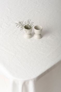 two white cups sitting on top of a table next to a plant in the middle