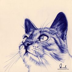 a pencil drawing of a cat's face with blue eyes and whiskers