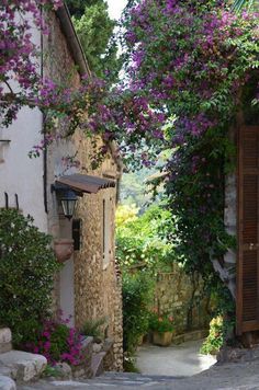 an old stone house with purple flowers growing on it