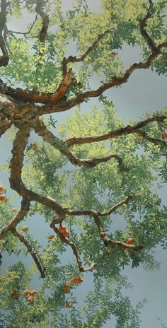 an image of tree branches with leaves reflected in the water on a sunny day,