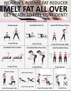 Beginner Workout Schedule, Full Body Dumbbell Workout, Gym Workout Plan For Women, Workout Plan For Women, Workout Without Gym, Workout Plan Gym, Strength Training Workouts