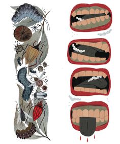 four different types of teeth and mouth shapes