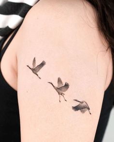 two birds flying in the air on top of a woman's shoulder and arm