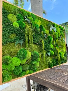 a moss covered wall is displayed on a wooden table next to a tree and bench