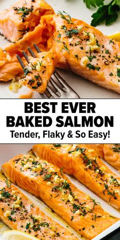 Baked salmon recipe Cooking Salmon In Oven, Basic Salmon Recipe, Bake Salmon In Oven, Salmon Recipes Baked Oven, Baked Salmon Recipes Oven, Best Baked Salmon, Salmon In The Oven, Oven Baked Salmon Recipes