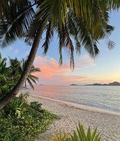 a beach with palm trees and the ocean in the background