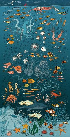 an underwater scene with many different types of fish and sea creatures in the blue water