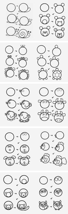 the instructions for how to draw an animal in different ways, including circles and numbers