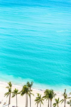 the beach is lined with palm trees and blue water